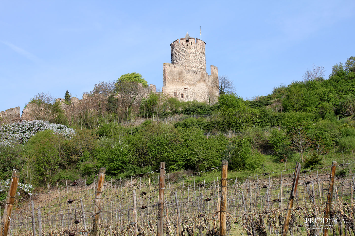 Kaysersberg